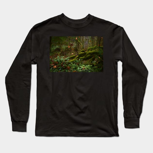 Fairy Forest Long Sleeve T-Shirt by Whisperingpeaks